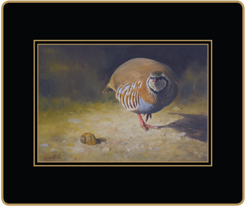 Gamebird Placemats