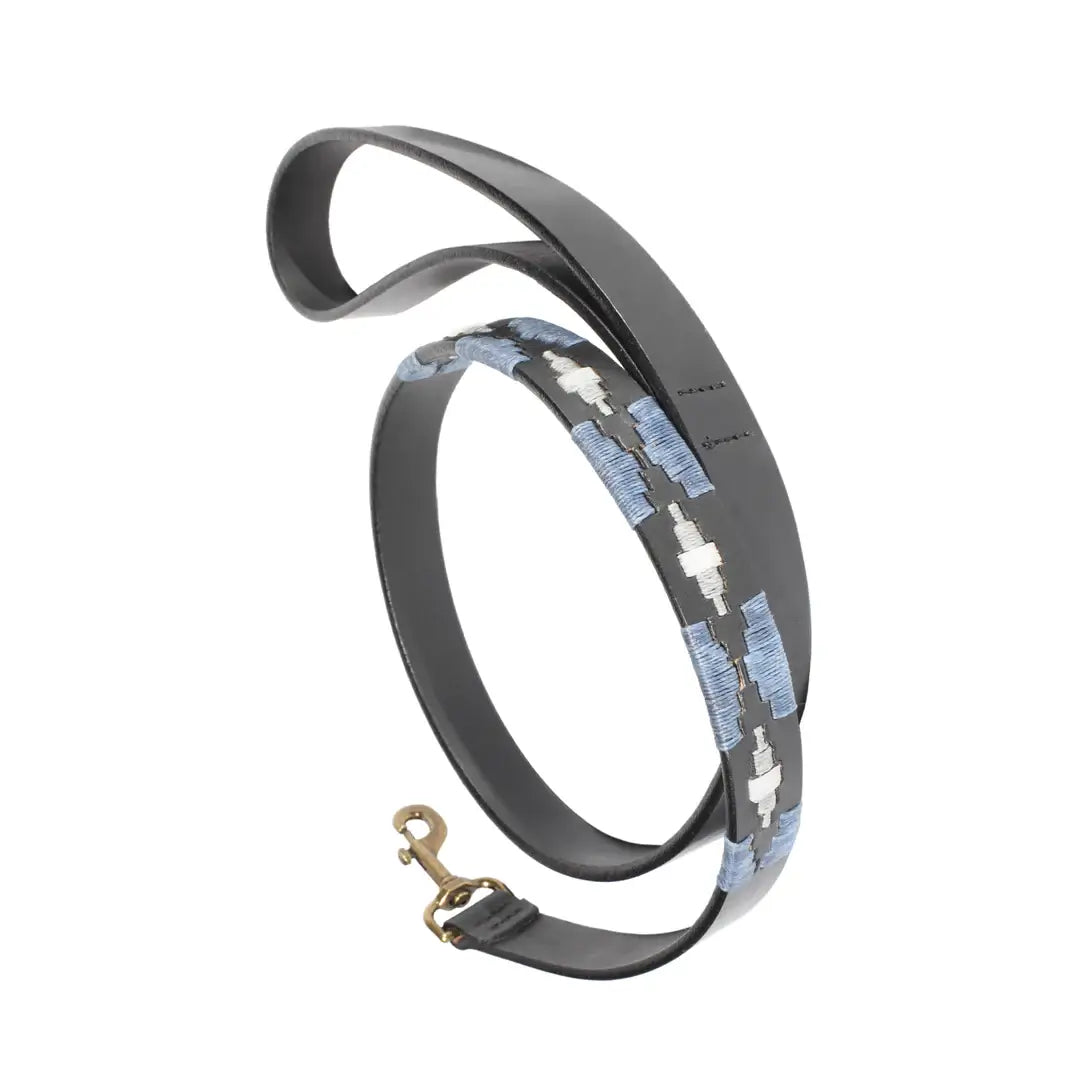 Pampeano Sierra Dog Lead