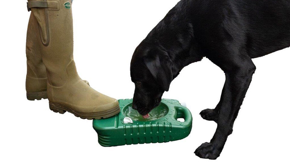 Portable Dog Bowl
