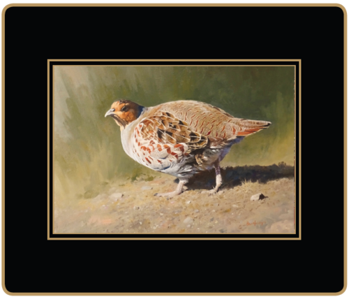 Gamebird Placemats