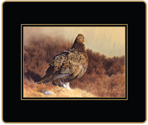 Gamebird Placemats