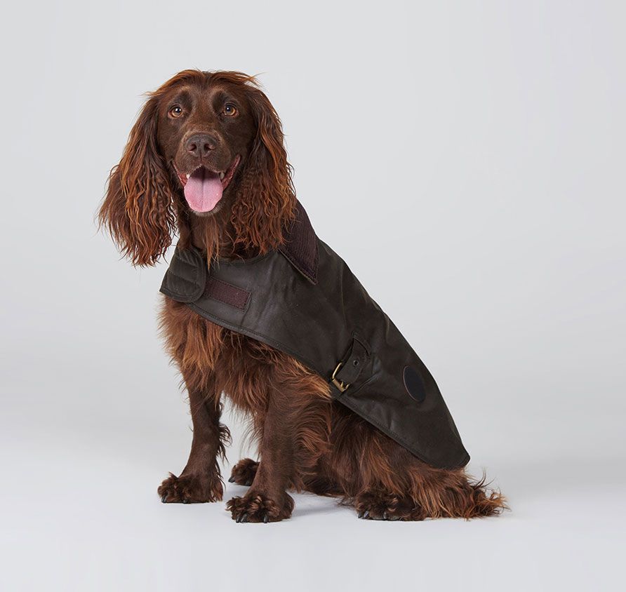 Barbour Wax Dog Coat